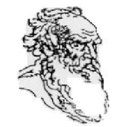 АНО ВО "Институт языков и культур имени Льва Толстого"